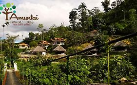 Amuntai Rainforest Lodge